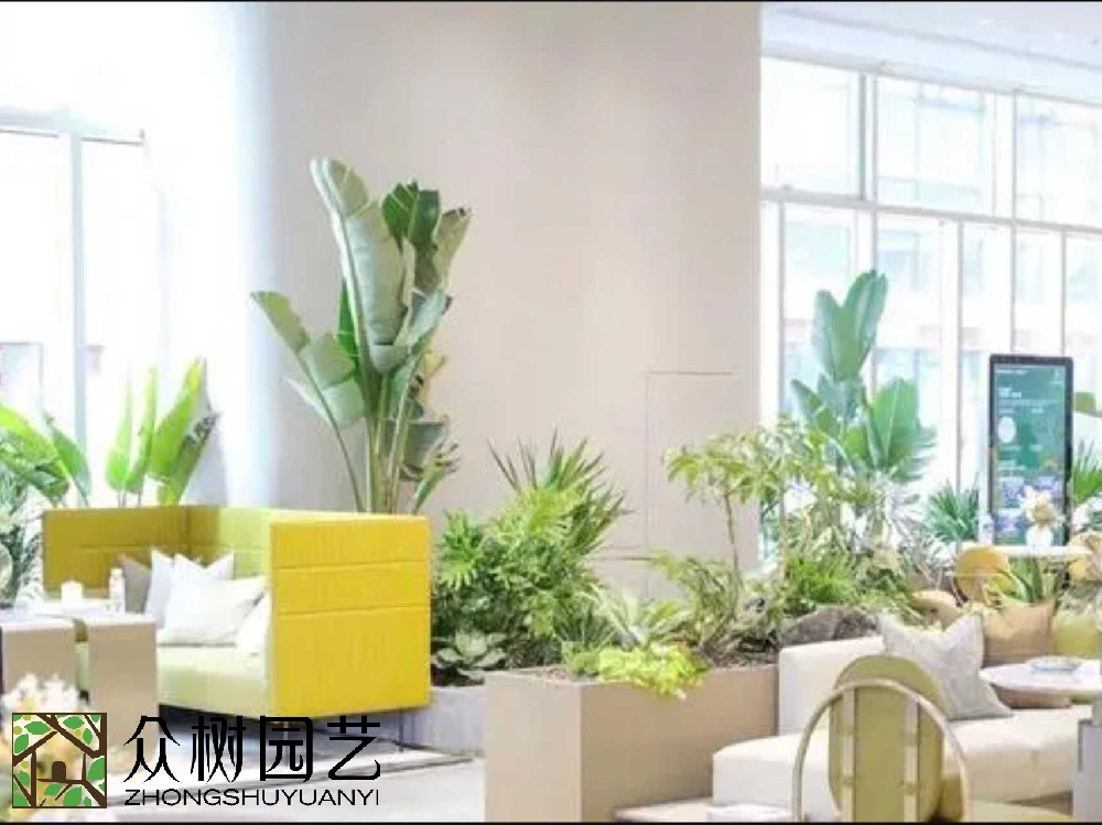 綠動蘇州，專業(yè)綠植租賃養(yǎng)護(hù)新風(fēng)尚