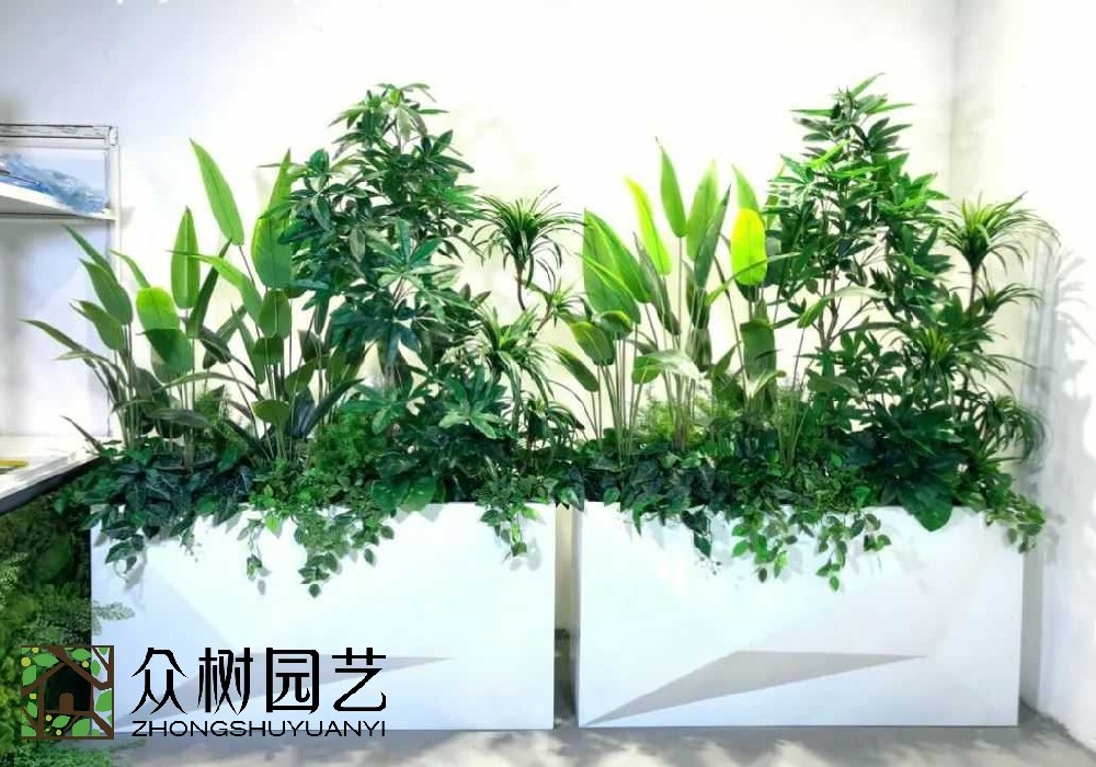 震撼發現！蘇州綠植租賃：為城市空間注入綠色活力